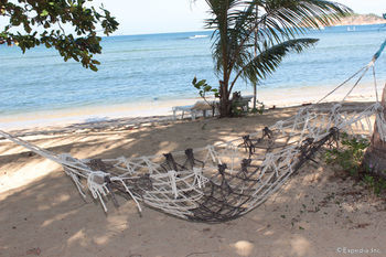 Cashew Grove Beach Resort Busuanga Bagian luar foto